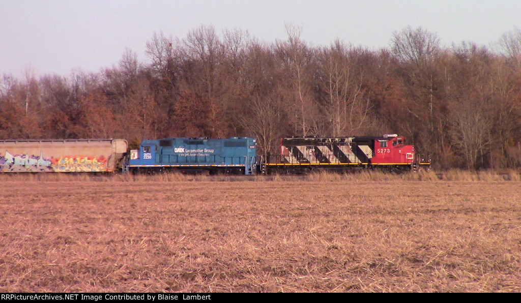 CN local tied down